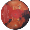 h20picturedisc.gif (30768 Byte)